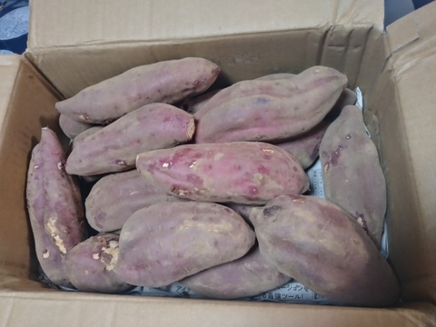 栗のような甘さとホクホク食感❗️さつまいも千葉県香取市産【紅あずま】4.8kg S〜Lサイズ混合