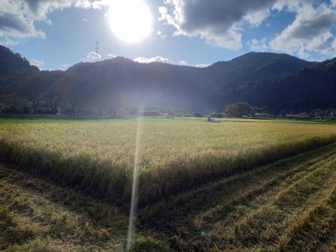 ◆農薬不使用のグルテンフリー
あんこサンド【10個セット】