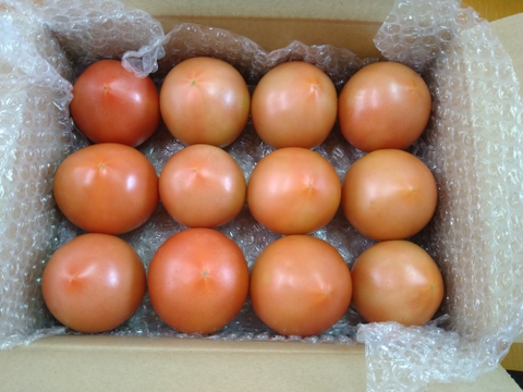 （お試し）有機質ボカシ肥料で作った完熟トマト　1.5kg　12玉入り