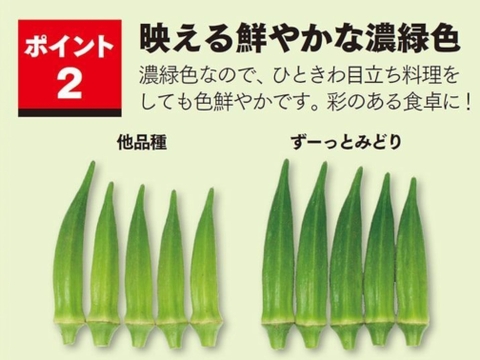 8月発送【翌日着可能地域限定】オクラ 300g ネコポス発送(送料全国一律)