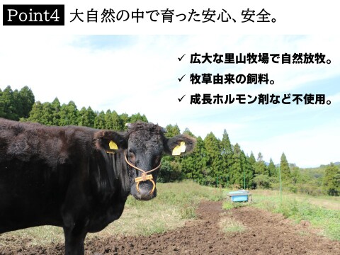 【さかうえの牧草牛】牛スジ1kg 国産黒毛和牛×グラスフェッドビーフ 国産飼料のみで放牧飼育
