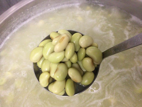 ◎自然栽培◎秘伝大豆19kg《令和6年・山形県鶴岡産》