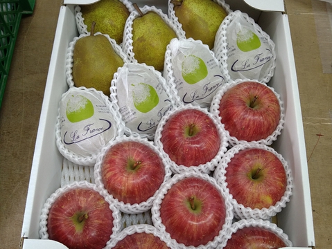 食味審査★優秀賞★ラ・フランス&完熟ふじりんご詰合せ(約5kg)