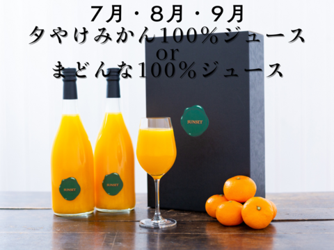 『こたつの上の冬物語』贅沢柑橘の定期便！驚愕の全１５種類！！