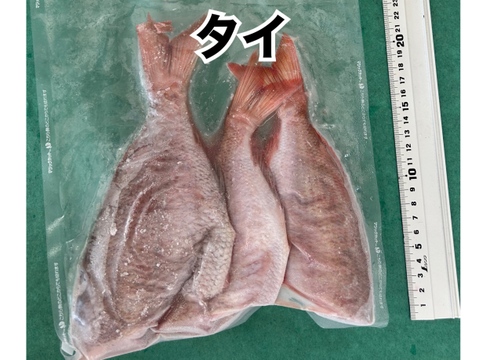 【冷凍】未利用魚🐟お手軽3種セット！真空&−60℃で鮮度も抜群！！