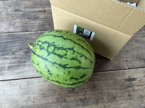 ☆有機JAS認証☆小玉スイカ