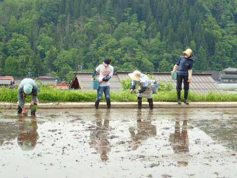 森の恵み　ちょこっとずつ食べ比べセット　18枚入