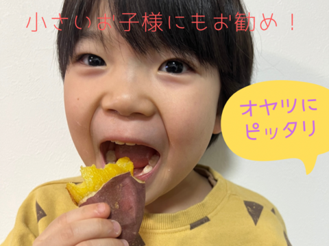 甘党さん集まれ〜！！さつまいも 紅はるか【 オヤツにピッタリSSサイズ 】２kg！山形県酒田市産 【無くなり次第終了】