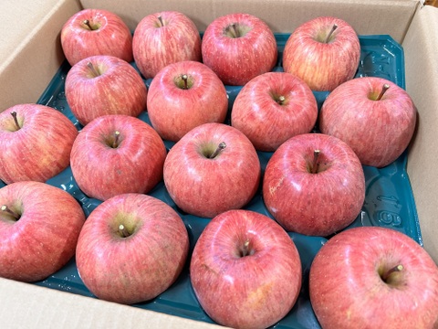 【冬ギフト】山形県産サンふじりんご秀5キロ【熨斗対応致します】