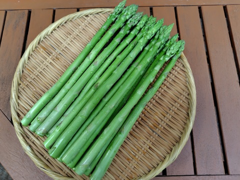 信州白馬で育ったアスパラガス　1㎏
