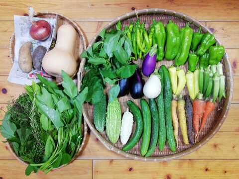 【農薬・化学肥料不使用】４種類以上のハーブ入り野菜セット【８種類以上の野菜】【金曜日発送】【あわせ買い可】【熨斗(のし)対応可】【８０サイズ箱】