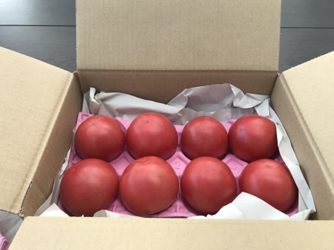 千葉県産　富丸ムーチョ（食べやすいSサイズ）