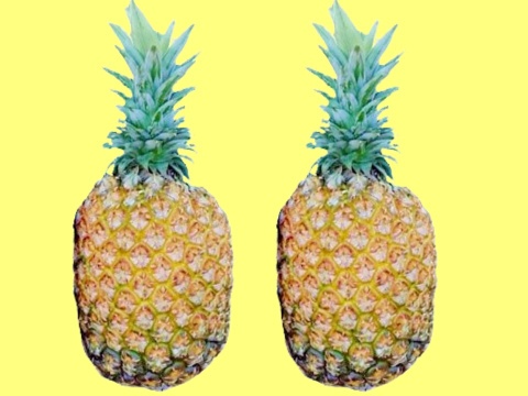 【豊潤極甘】黄金のパイン『ゴールドバレル』2玉（約2.0kg)
