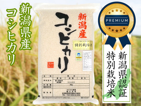 【プレミアム米】令和3年産新潟県認証特別栽培米コシヒカリ白米25kg（5㎏×5袋）