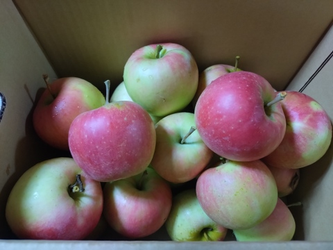 秋の色々なりんごを混ぜます！家庭用です😄
ジャムにも最適！