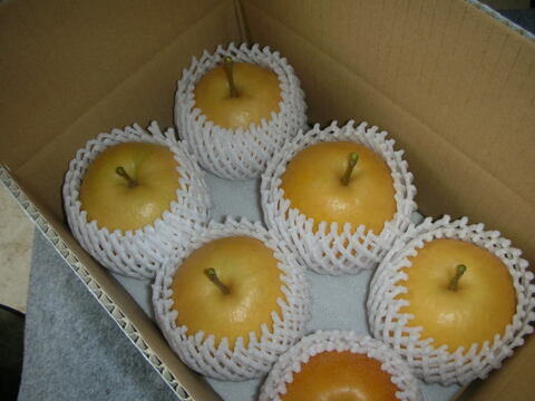 鳥取産・新興梨３ｋｇ（６～８玉入り）