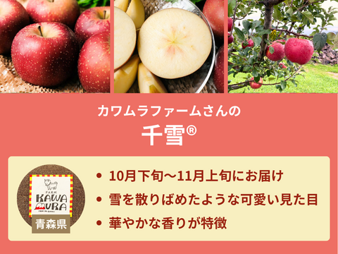 【限定300セット】りんご食べ比べ便第2弾※送料込※（食べチョク公式）