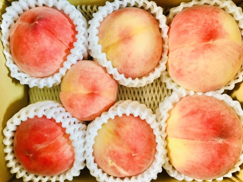 【期間限定！山梨県産桃訳アリ品種いろいろ🍑】すぐ発送！約2キロ！中～特大サイズランダム6～８個！一度食べたら忘れられない  その時期一番おいしい品種をお届け【品種おまかせ】