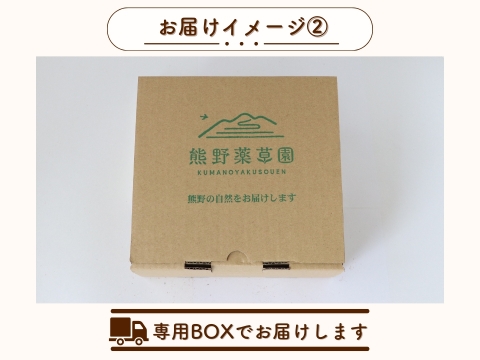 甘いだけじゃない！旨味とコクを凝縮！三重県産 真っ赤な完熟ミニトマト『TY千果』(約1.2㎏)