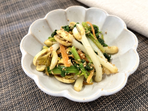 農薬不使用！ピーナッツスプラウト（落花生の新芽）【食べるJAPAN 美味アワード2025グランプリ受賞商品】250g