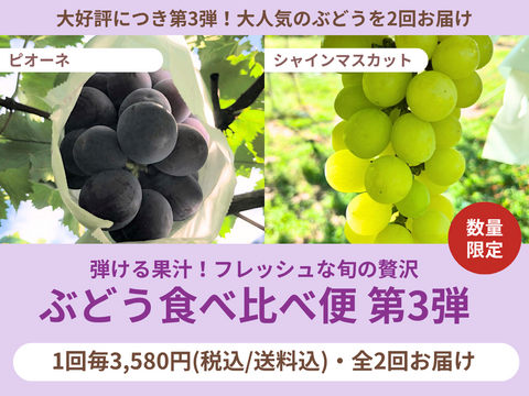 【食べチョク旬の食べ比べ便】シャインマスカット800g〜900g(2〜3房)