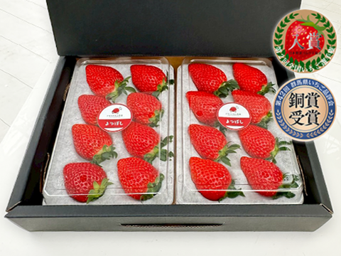【ギフト・贈答用】甘味とコクのバランス良し！鮮やかな赤色いちごのよつぼし