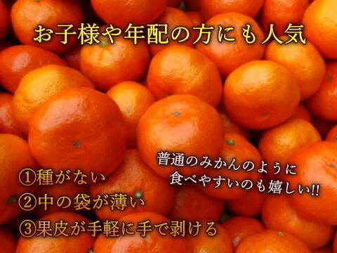 【甘～い柑橘福袋】年末発送！甘～い定番みかんや希少柑橘の食べ比べ！家族でワイワイ♪♪人気４品種が楽しめる！「旬のこだわり柑橘食べ比べ福袋」　サイズ混合　ご家庭用　約3kg入　【商品番号1102-3k】