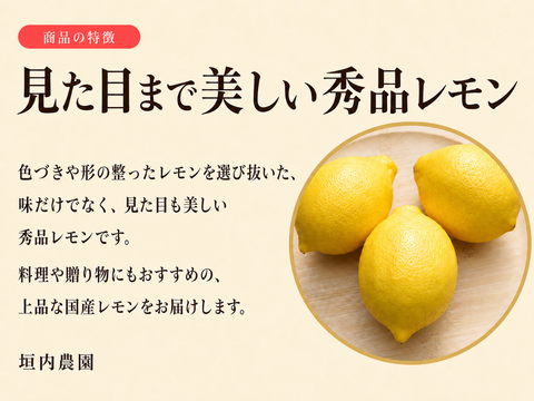 【料理や贈り物に、見た目まで美しい、国産の秀品レモン】冷蔵貯蔵の貯蔵レモン ワックス・除草剤不使用の皮ごと楽しめる国産リスボンレモン（2kg・冷蔵便）