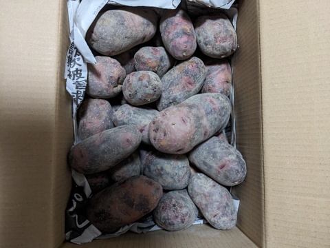 【ミニサイズの訳あり！】コクと甘味が特徴のねっとり系！『グラウンドペチカ』 ジャガイモ (5kg)