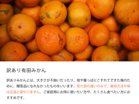 【福袋】有田みかん5kg（こつぶサイズ3S～S）家庭用（訳あり品）こつぶちゃん 和歌山 311-7