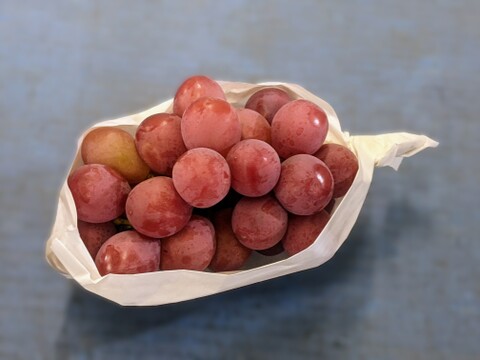 【家庭用】クイーンルージュ 約800g 長野名産・皮ごと食べられる種無しぶどう。お得な訳あり品、家庭用に 産地直送で10月上旬頃から#NGR0B008