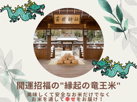 【通常価格5,900円⇨セール価格4,990円】270年お米づくり一筋！特別栽培米「コシヒカリ」 白米10kg　十代目松治が作った自信のお米！