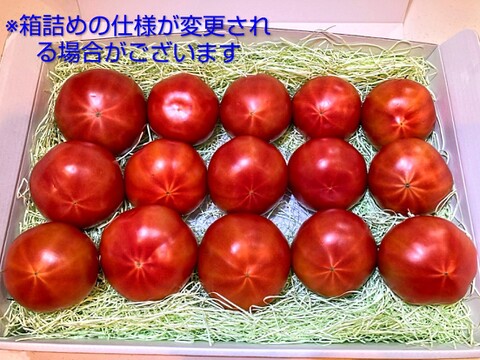 予約★平均糖度10度！★完熟★名水育ち★究極のフルーツトマト「海部川のしずく」1.2kg(10〜30個)　品種は驚きの桃太郎！