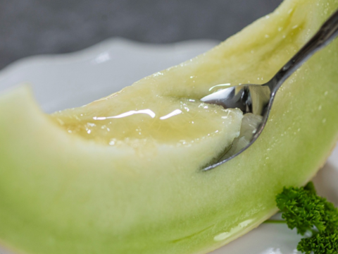 訳アリご家庭用＊極上メロン 渥美の陽光-HIKARI-(２玉入)