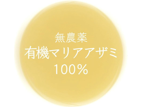 有機マリアアザミ茶 24包