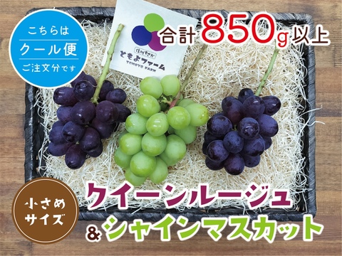 ■クール便■クイーンルージュ＆シャインマスカット“小さめ”セット｜計８５０ｇ以上