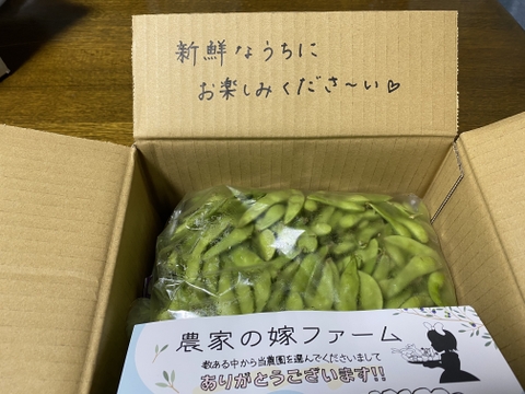 【限定】枝豆王国新潟から☆ブサイクなB品（1.5kg）　生産者は毎日この枝豆食べてます(^^)