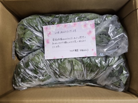 おまかせ。バラ詰め。魂のほうれん草3kg（大きな袋に3kg）