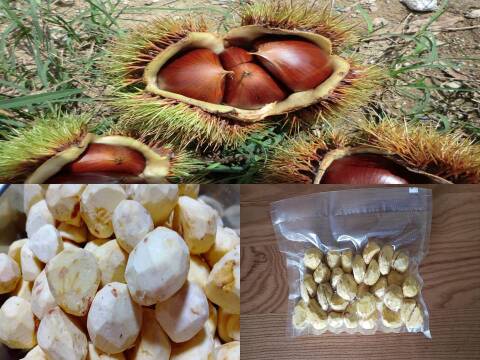 自然栽培むき栗】農薬不使用むき栗 剥き栗 真空パック冷凍：大分