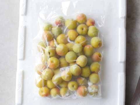 紀州南高梅 冷凍梅【訳あり・和歌山県産】0.5kg ※北海道沖縄配送不可