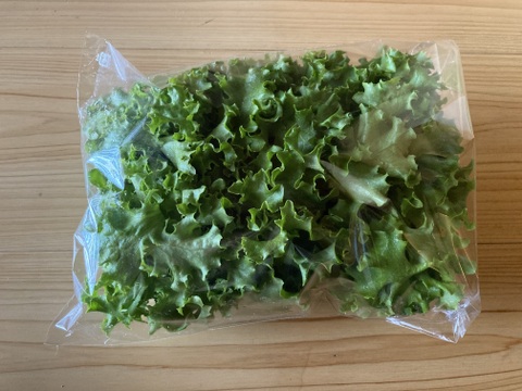 おべじの小さな畑便 ≪初夏のサラダ野菜セット≫