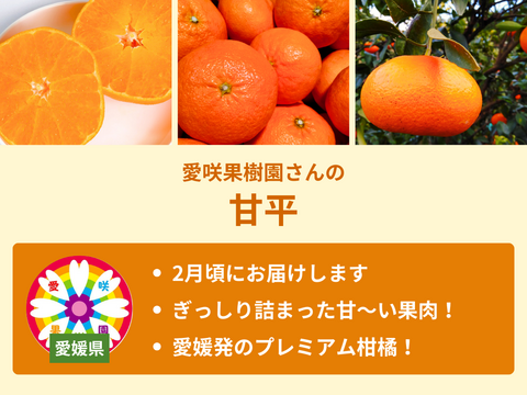 【限定300セット】旬の柑橘フルコース便（食べチョク公式）