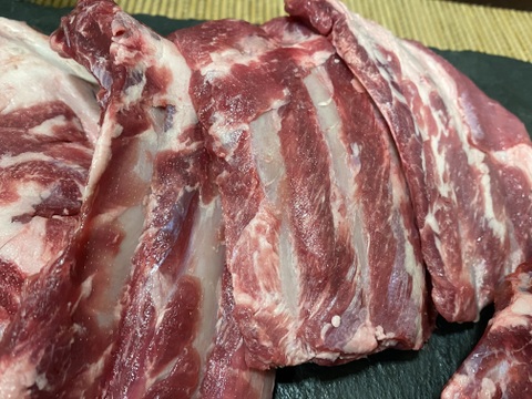 イノシシスペアリブ500ｇ　【煮込み、ＢＢＱ】猪の脂身は胃がもたれず、美味しく食べられると大絶賛