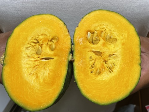 〜南国土佐旬便り〜　ミニかぼちゃ 『ほっこり姫』ホクホクやさしい甘さ❤︎で使いやすいサイズ(o^^o)【4.0〜4.2kg】（大小10〜13個）