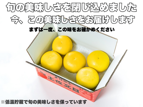 土佐文旦 超訳あり｜見た目NGでも中身同じ 今が食べ頃 60日仕上げ 3kg お試し