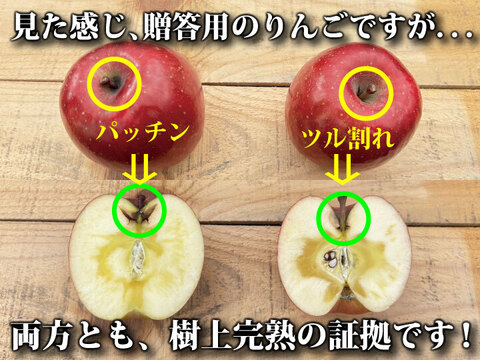 【朝市限定】【毎年１万箱以上売れてます】約３キロ 青森県産りんご「樹上完熟葉とらずふじ」家庭用厳選品