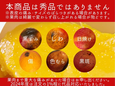 マンゴーの王道！『アーウィン』3kg良品