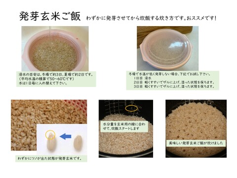 玄米食に最適「品種：はるみ」自然栽培米 10kg：神奈川県産のお