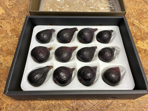 希少な黒いちじく「イスキアブラック」
