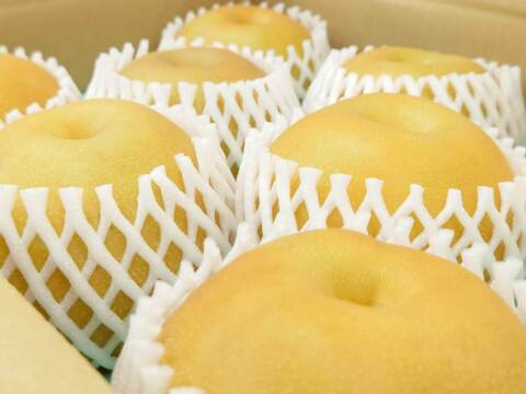 濃厚な美味しさ！果汁溢れる豊水梨  約3kg